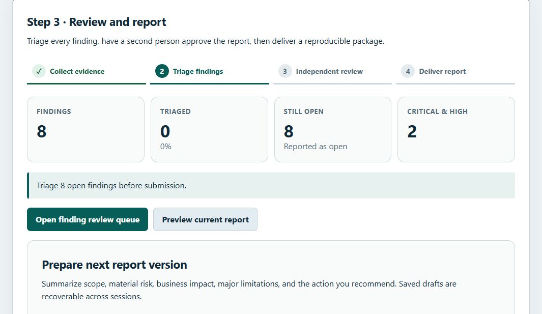 Sentinel assessment review with fictional findings and severity counts